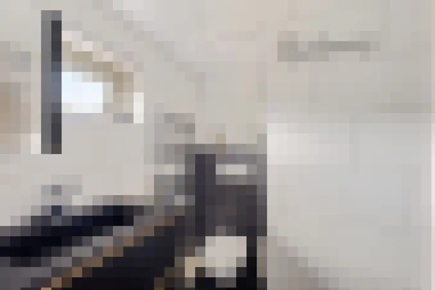 Smedinge 22 Zuidlaren thumbnail 25