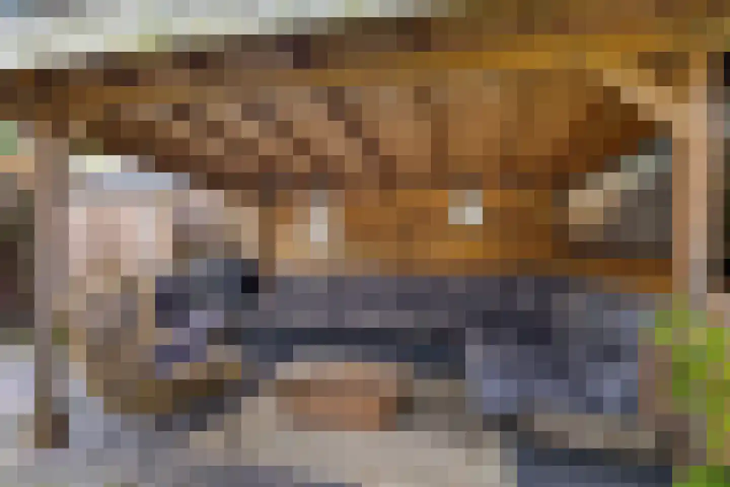 Smedinge 22 Zuidlaren thumbnail 31