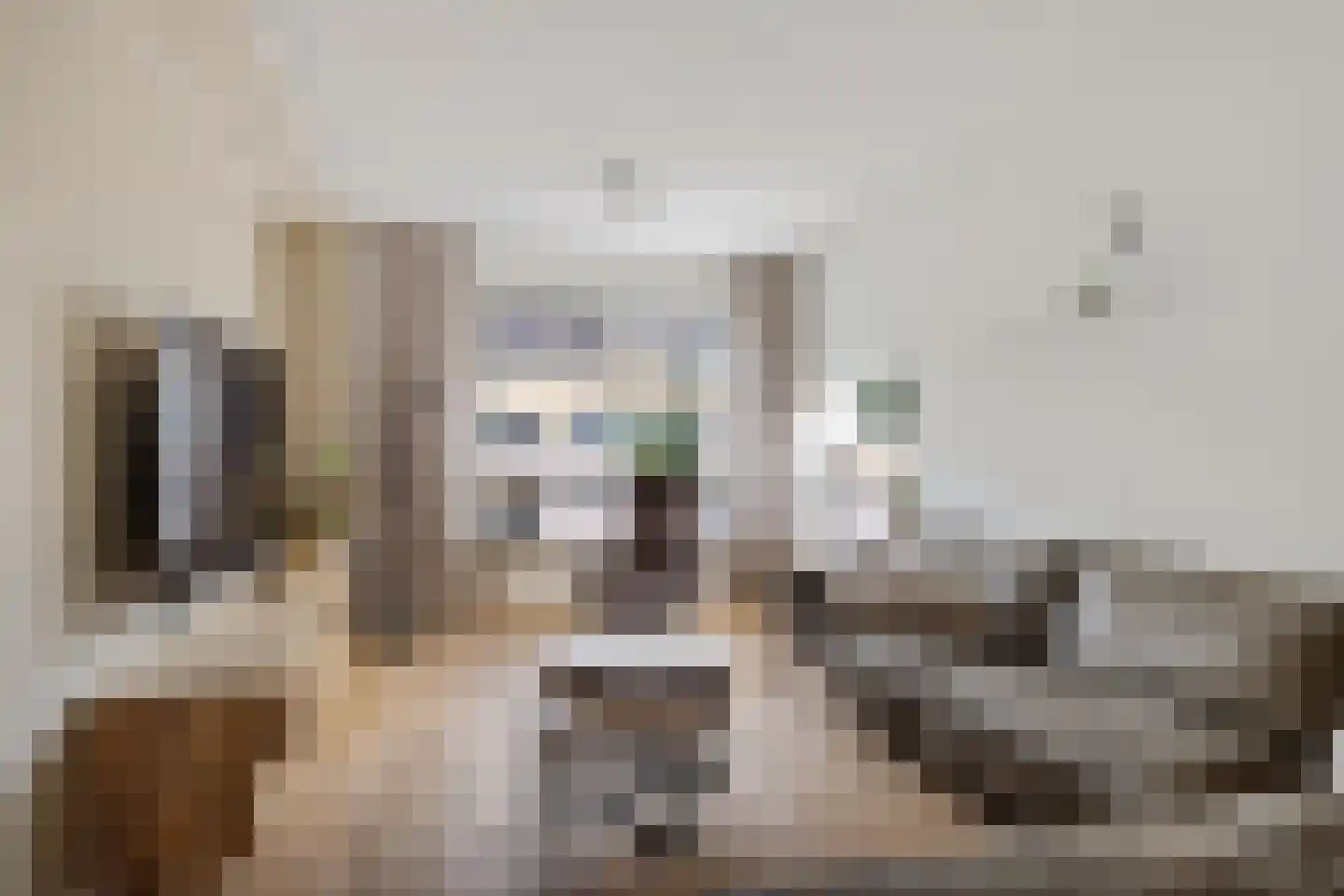 Smedinge 22 Zuidlaren thumbnail 4