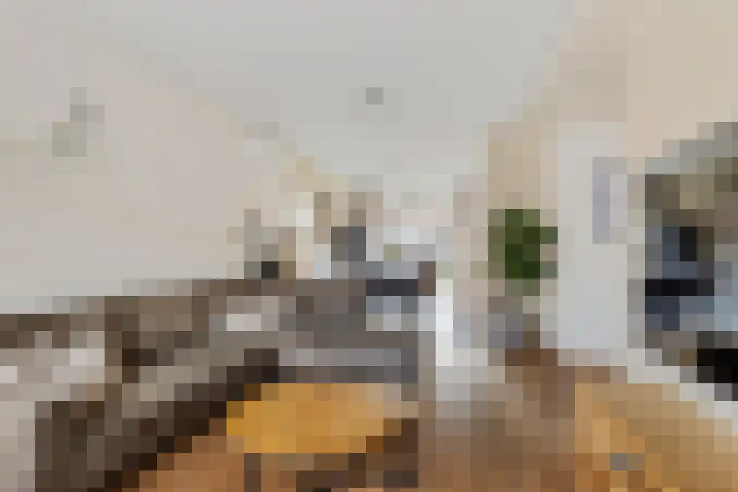 Smedinge 22 Zuidlaren thumbnail 5