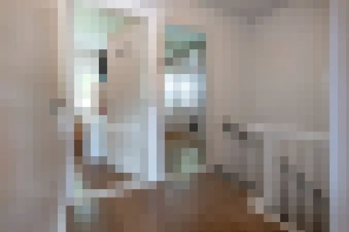 Smedingeslag 2 Emmen thumbnail 18