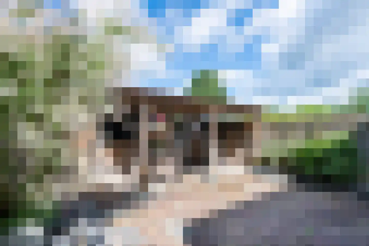 Smedingeslag 2 Emmen thumbnail 28