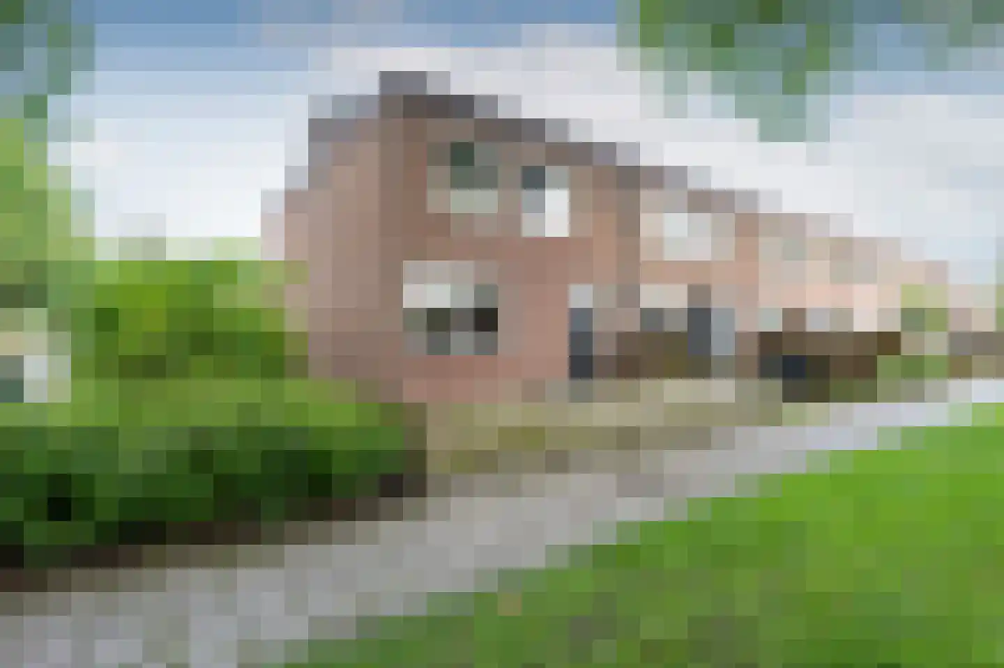 Smedingeslag 2 Emmen thumbnail 32