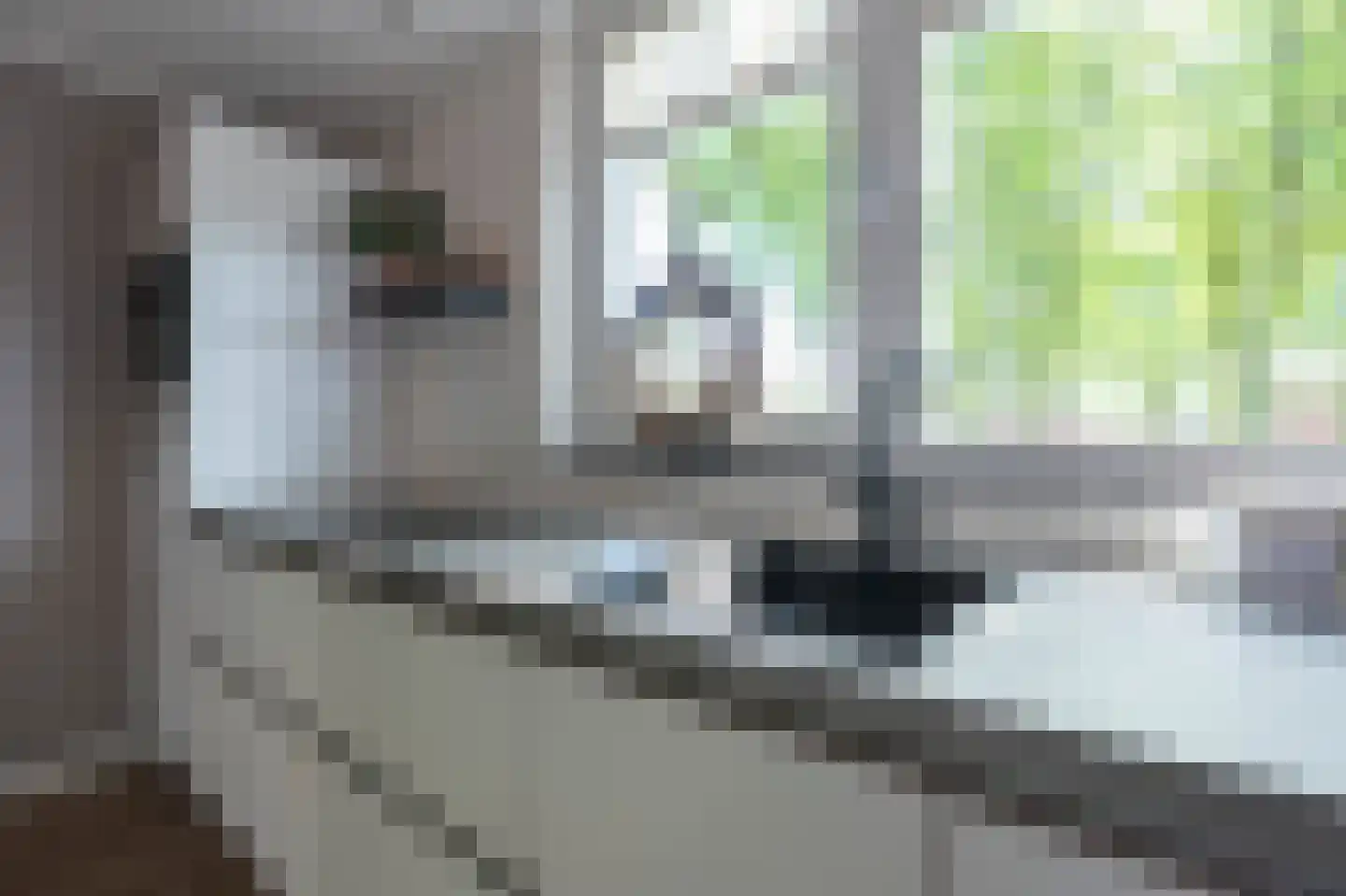 Smedingeslag 2 Emmen thumbnail 6