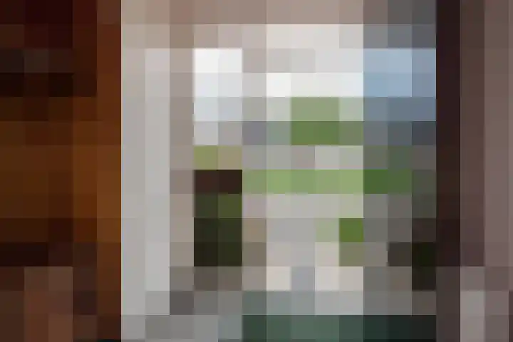 Smedinghstraat 12 Benthuizen thumbnail 8
