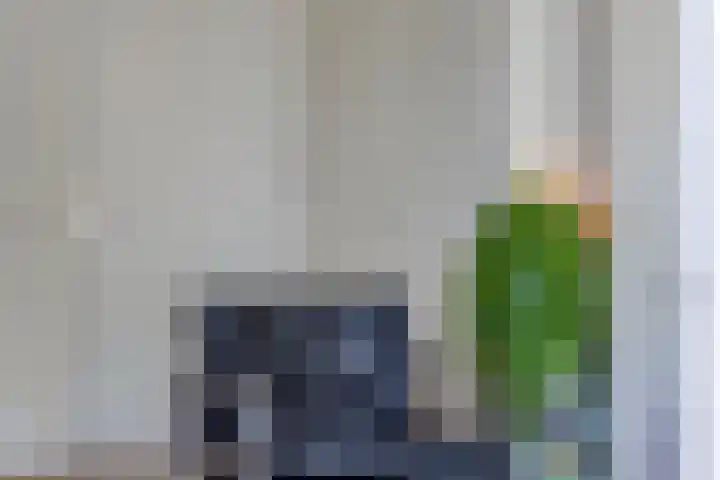 Smedingplein 18 Emmeloord thumbnail 22