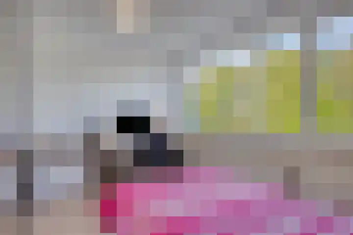 Smedingplein 18 Emmeloord thumbnail 28