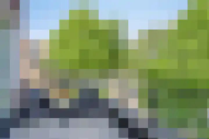 Smedingplein 18 Emmeloord thumbnail 38