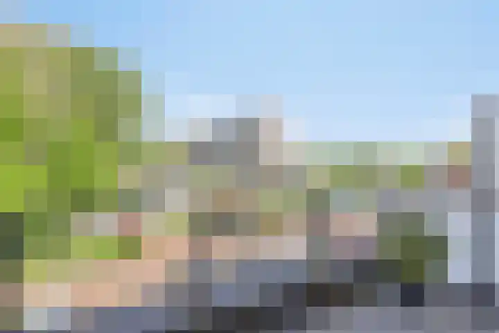 Smedingplein 18 Emmeloord thumbnail 40