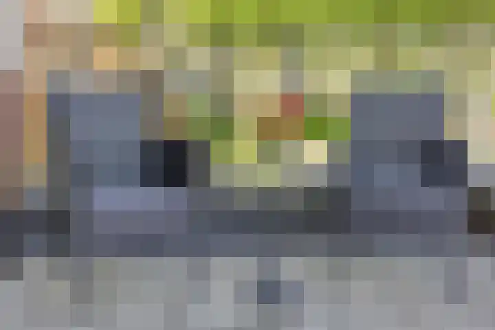 Smedingplein 18 Emmeloord thumbnail 41