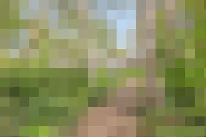 Smedingplein 18 Emmeloord thumbnail 49