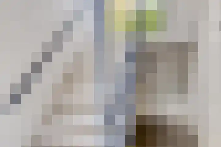 Smedingplein 18 Emmeloord thumbnail 6
