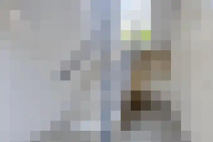 Smedingplein 18 Emmeloord thumbnail 7
