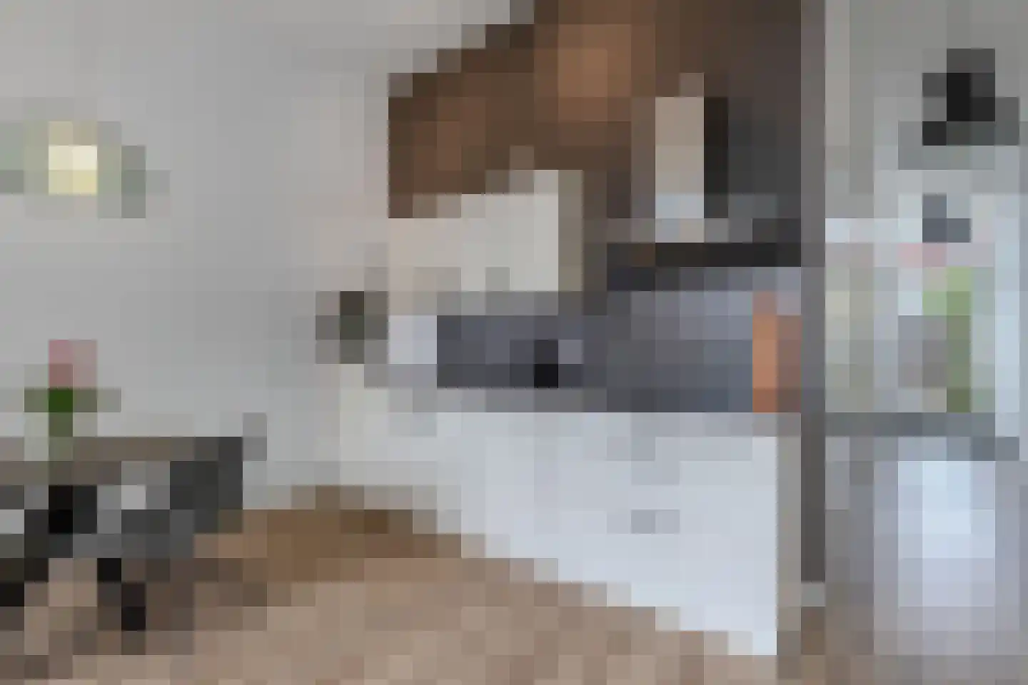 Smedingplein 4 Emmeloord thumbnail 11
