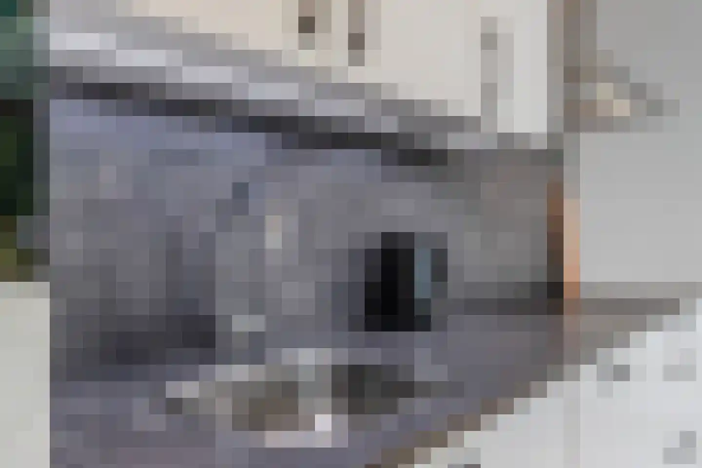 Smedingplein 4 Emmeloord thumbnail 13