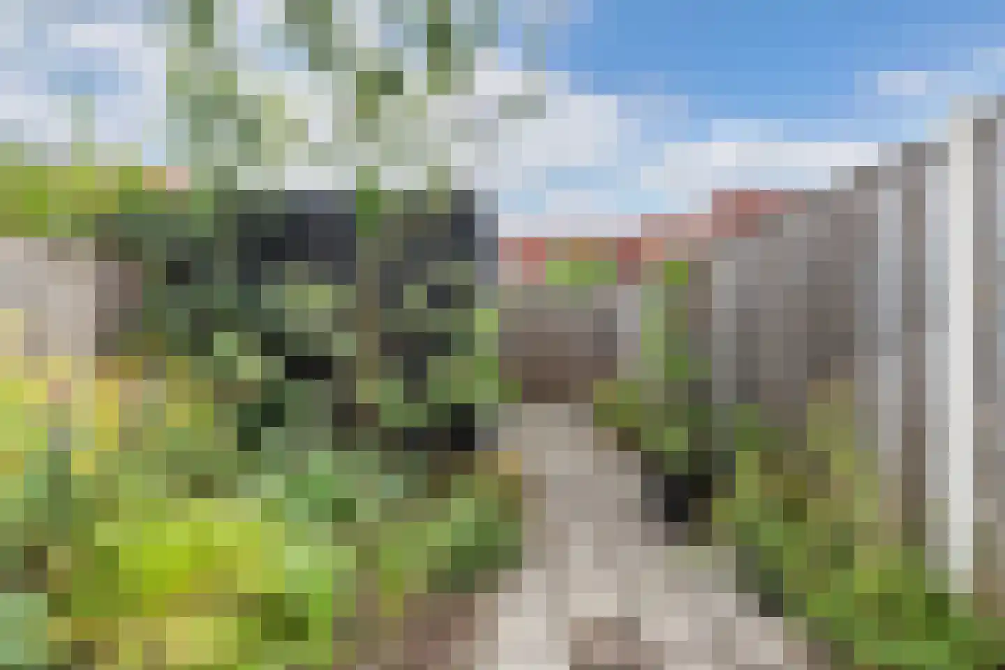 Smedingplein 4 Emmeloord thumbnail 31