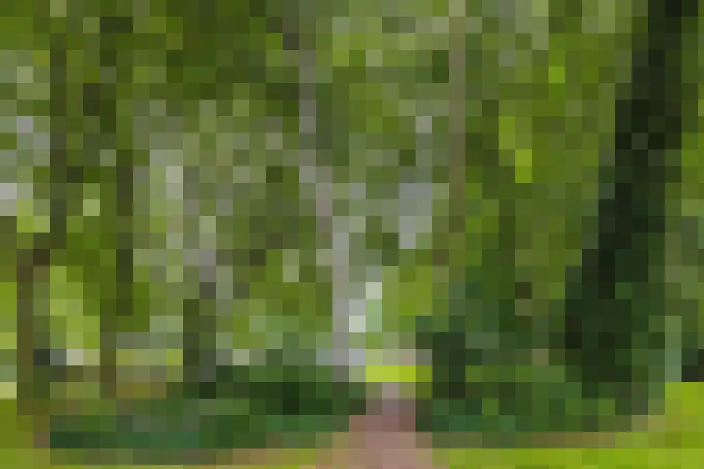 Smedingplein 4 Emmeloord thumbnail 32