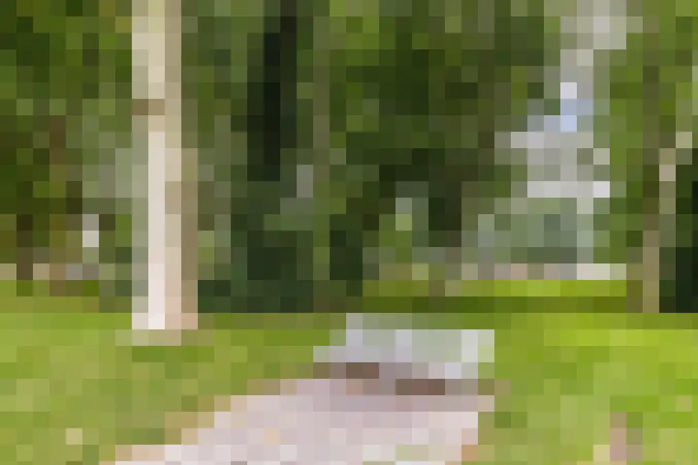 Smedingplein 4 Emmeloord thumbnail 33