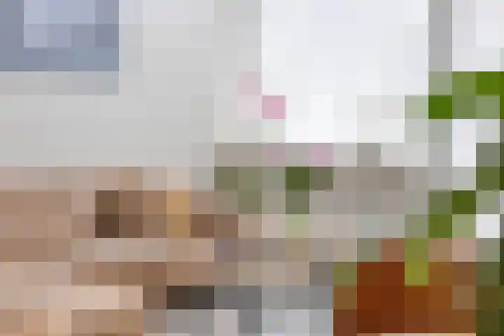 Smedingplein 5 Emmeloord thumbnail 13