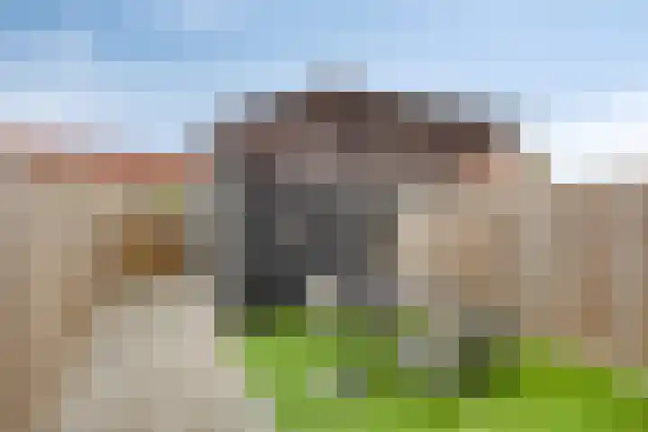 Smedingplein 5 Emmeloord thumbnail 21