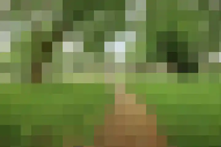 Smedingplein 5 Emmeloord thumbnail 26
