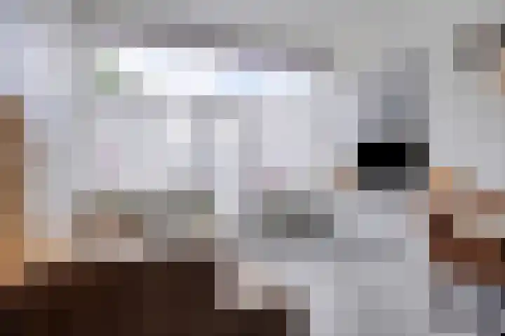 Smedingplein 5 Emmeloord thumbnail 4