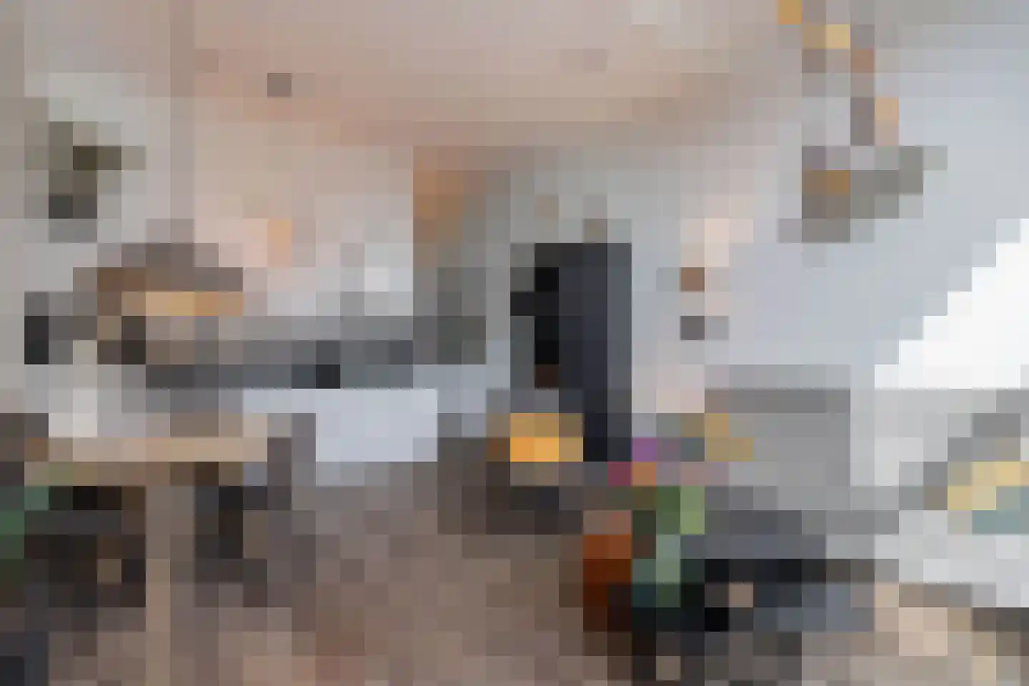 Smedingplein 6 Emmeloord thumbnail 6