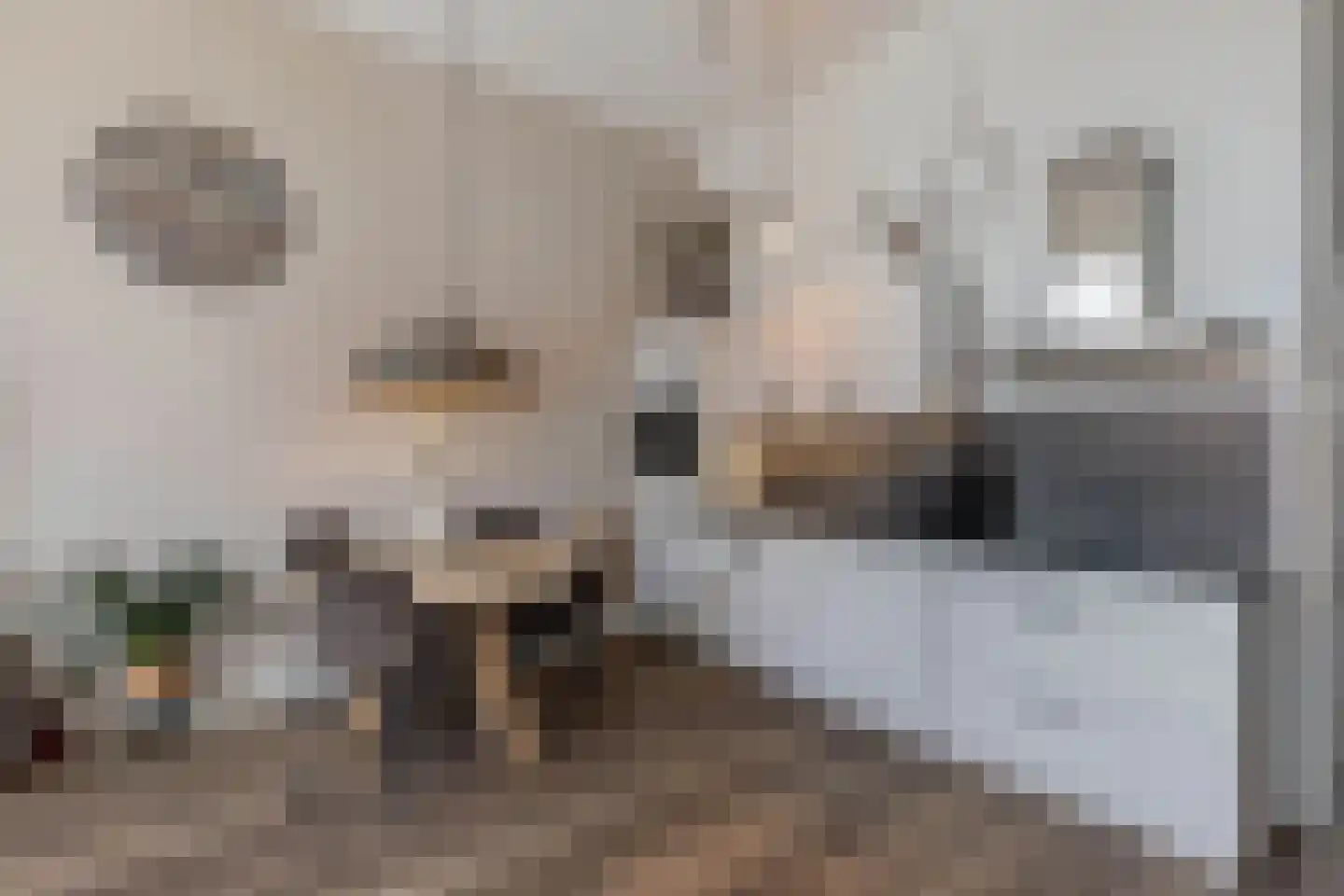 Smedingplein 6 Emmeloord thumbnail 8