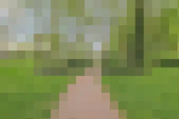 Smedingplein 7 Emmeloord thumbnail 25
