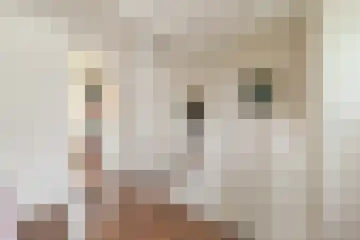 Smeeke Ven 101 Assendelft thumbnail 14