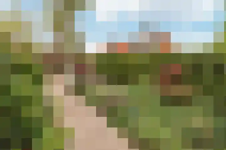 Smeeke Ven 101 Assendelft foto 3
