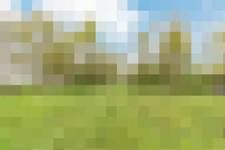 Smeeke Ven 101 Assendelft thumbnail 34