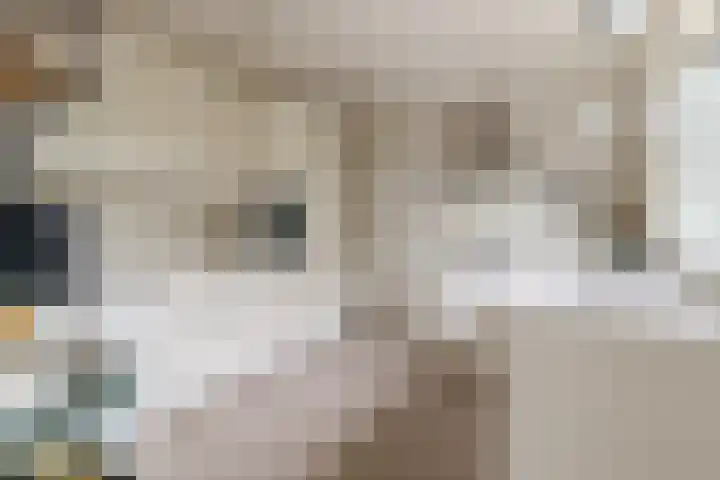 Smeeke Ven 101 Assendelft thumbnail 8