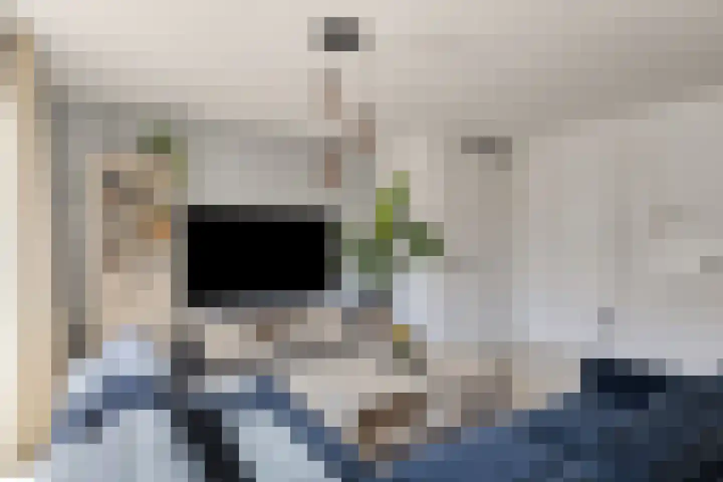 Smeeke Ven 171 Assendelft thumbnail 5