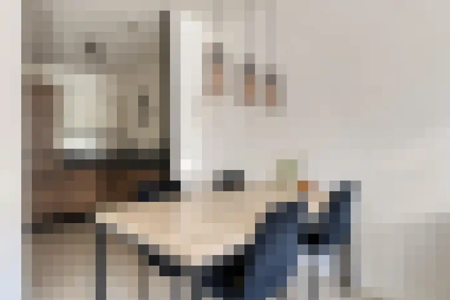 Smeeke Ven 171 Assendelft thumbnail 6