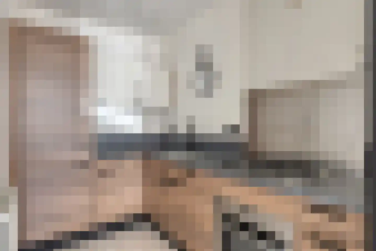 Smeeke Ven 171 Assendelft thumbnail 8