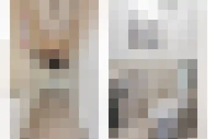 Smeeke Ven 173 A Assendelft thumbnail 13