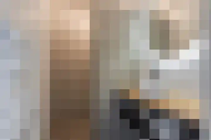 Smeeke Ven 173 A Assendelft thumbnail 14