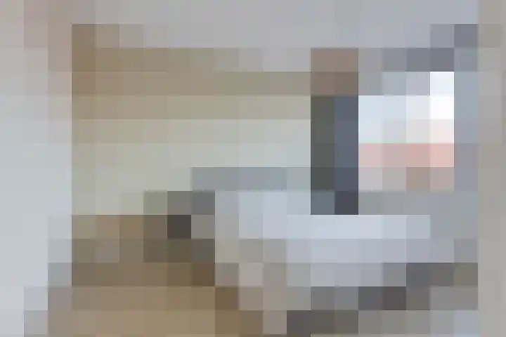 Smeeke Ven 173 A Assendelft thumbnail 16