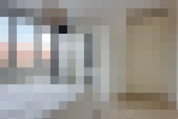 Smeeke Ven 173 A Assendelft thumbnail 17