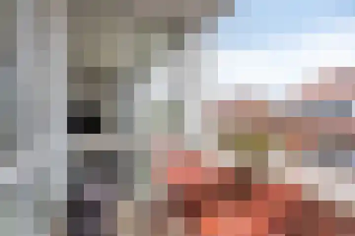 Smeeke Ven 173 A Assendelft thumbnail 19