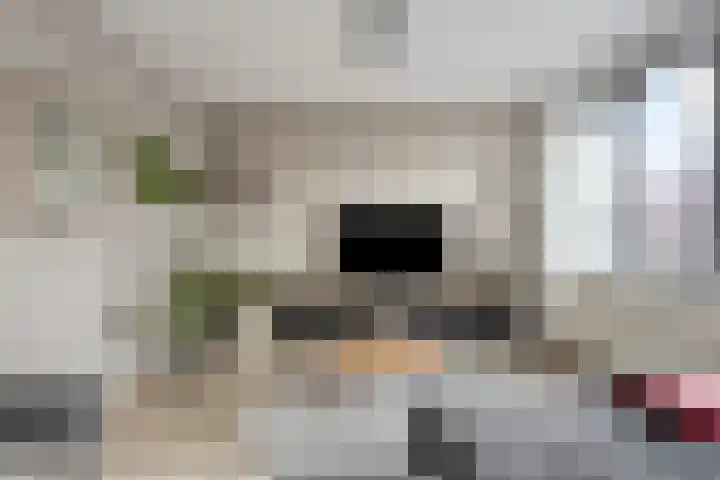 Smeeke Ven 173 A Assendelft thumbnail 6