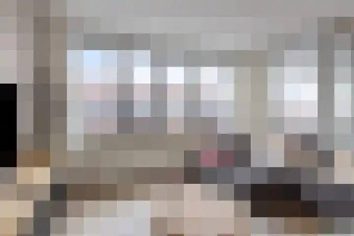 Smeeke Ven 173 A Assendelft thumbnail 7