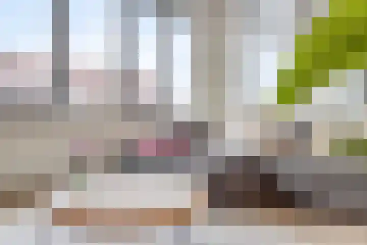 Smeeke Ven 173 A Assendelft thumbnail 8