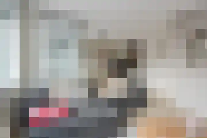 Smeeke Ven 173 A Assendelft thumbnail 9