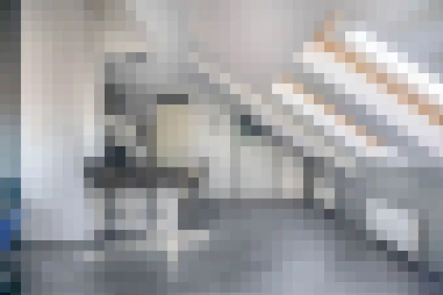 Smeeke Ven 175 B Assendelft thumbnail 10