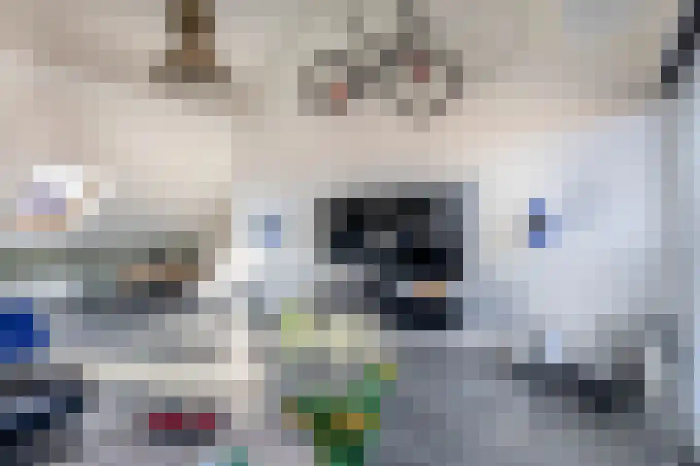 Smeeke Ven 175 B Assendelft thumbnail 12