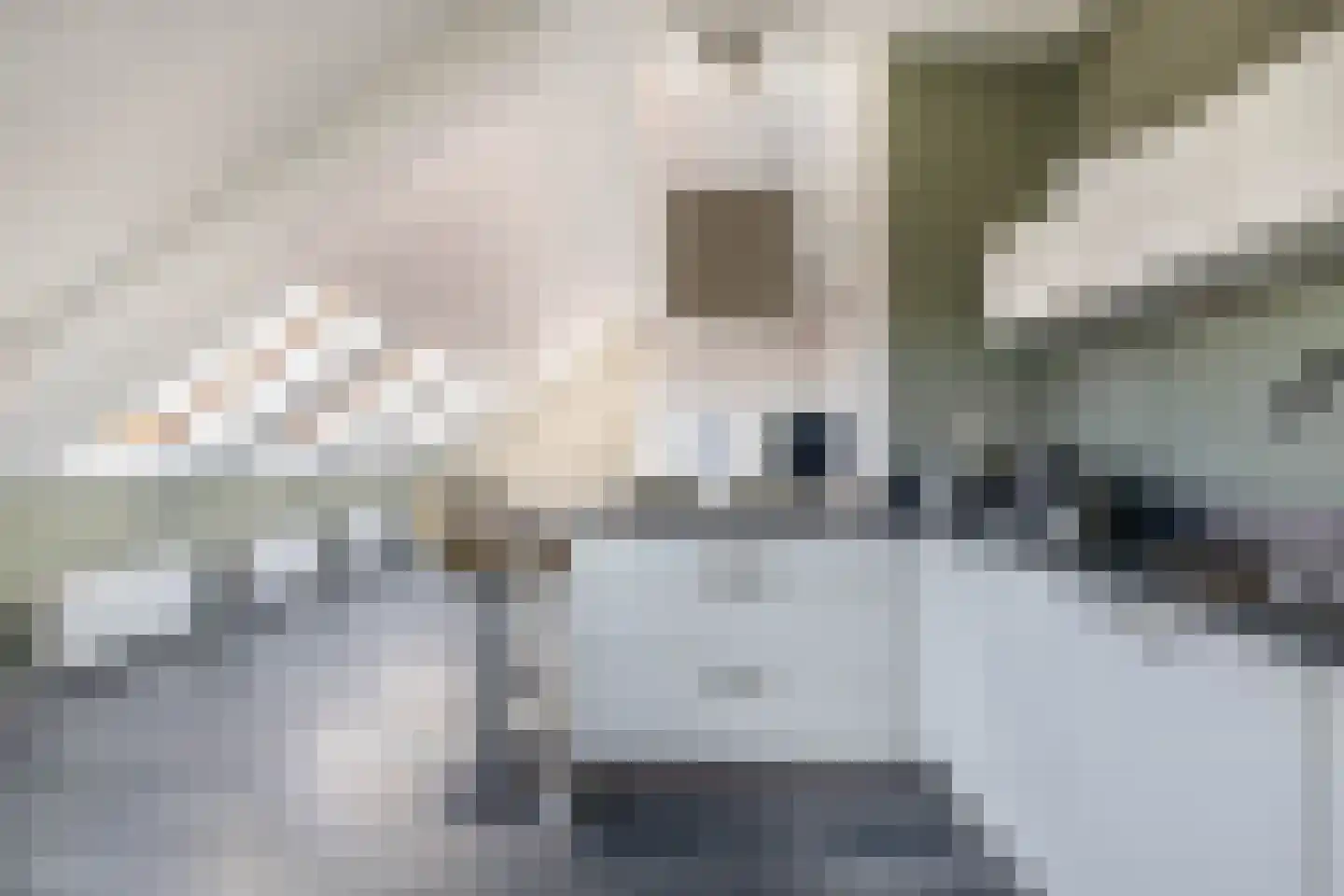 Smeeke Ven 175 B Assendelft thumbnail 14