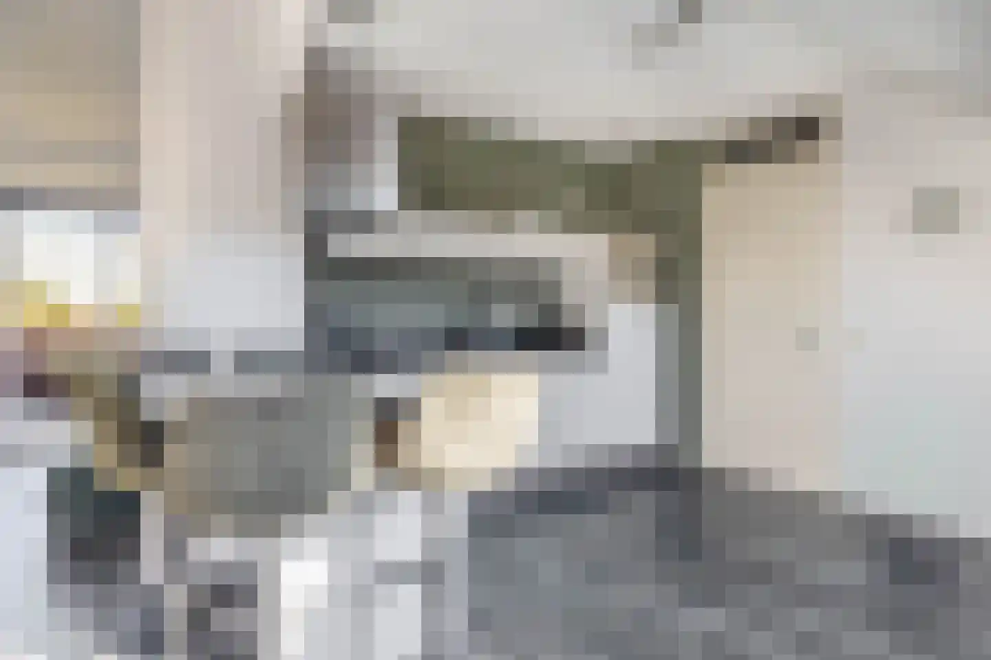 Smeeke Ven 175 B Assendelft thumbnail 15