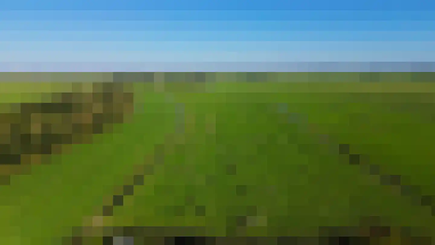 Smeeke Ven 175 B Assendelft thumbnail 45